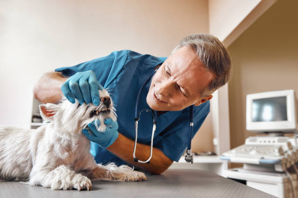 Best Emergency Tooth Extraction in Bradner, OH